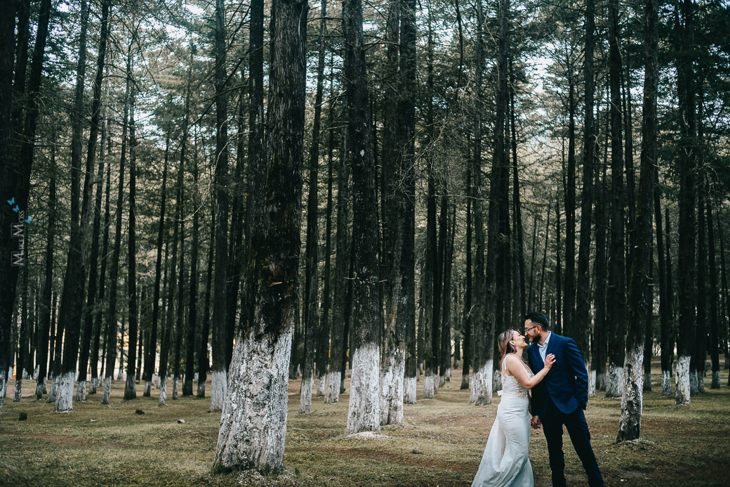 Alin-Rodolfo-Trash-The-Dress-Cedral-2019-138